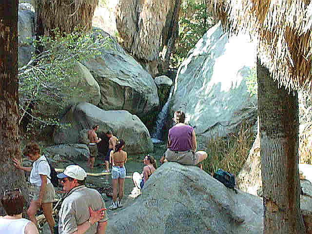 Waterfall in the desert at Borrego Palm Canyon           click on the photo to see the hiking path to this oasis!