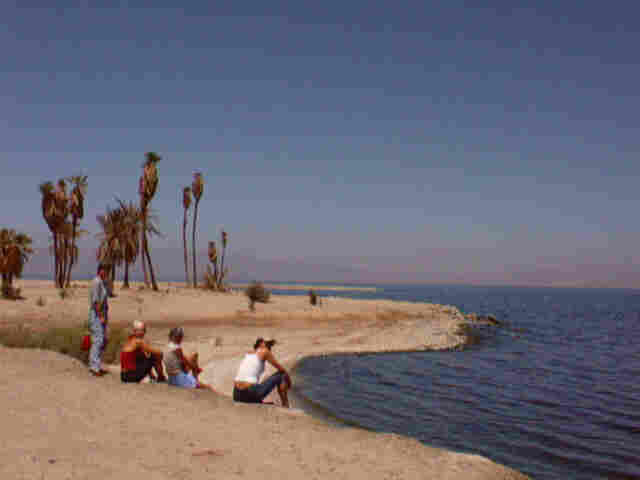 edge of the Salton Sea