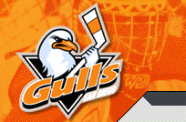 San Diego Gulls Ice Hockey