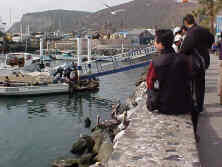 Ensenada Harbor