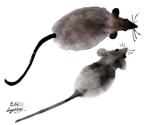 Chinese Year of the Rat, San Diego